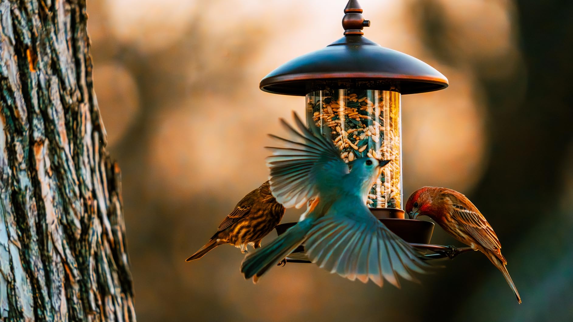 Youvip Bronze outdoor feeder blends with yard decor.