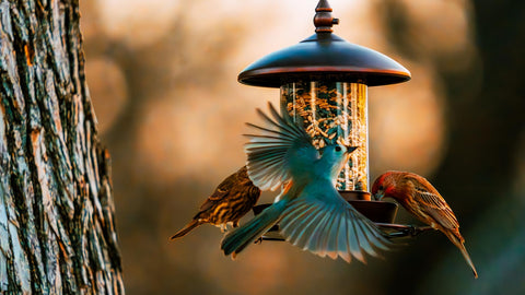 Youvip Bronze outdoor feeder blends with yard decor.