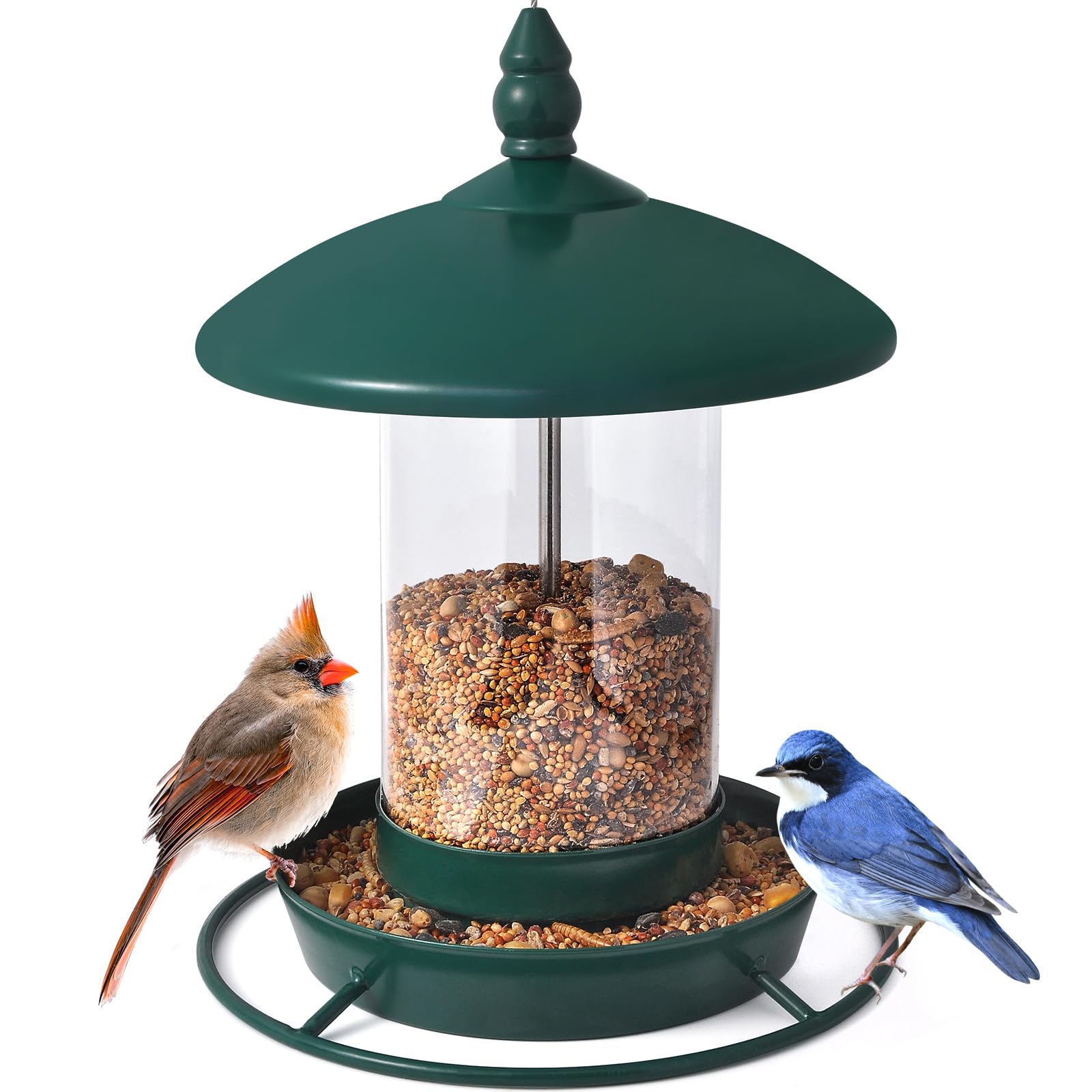 Youvip green backyard bird feeder displaying colorful visitors.