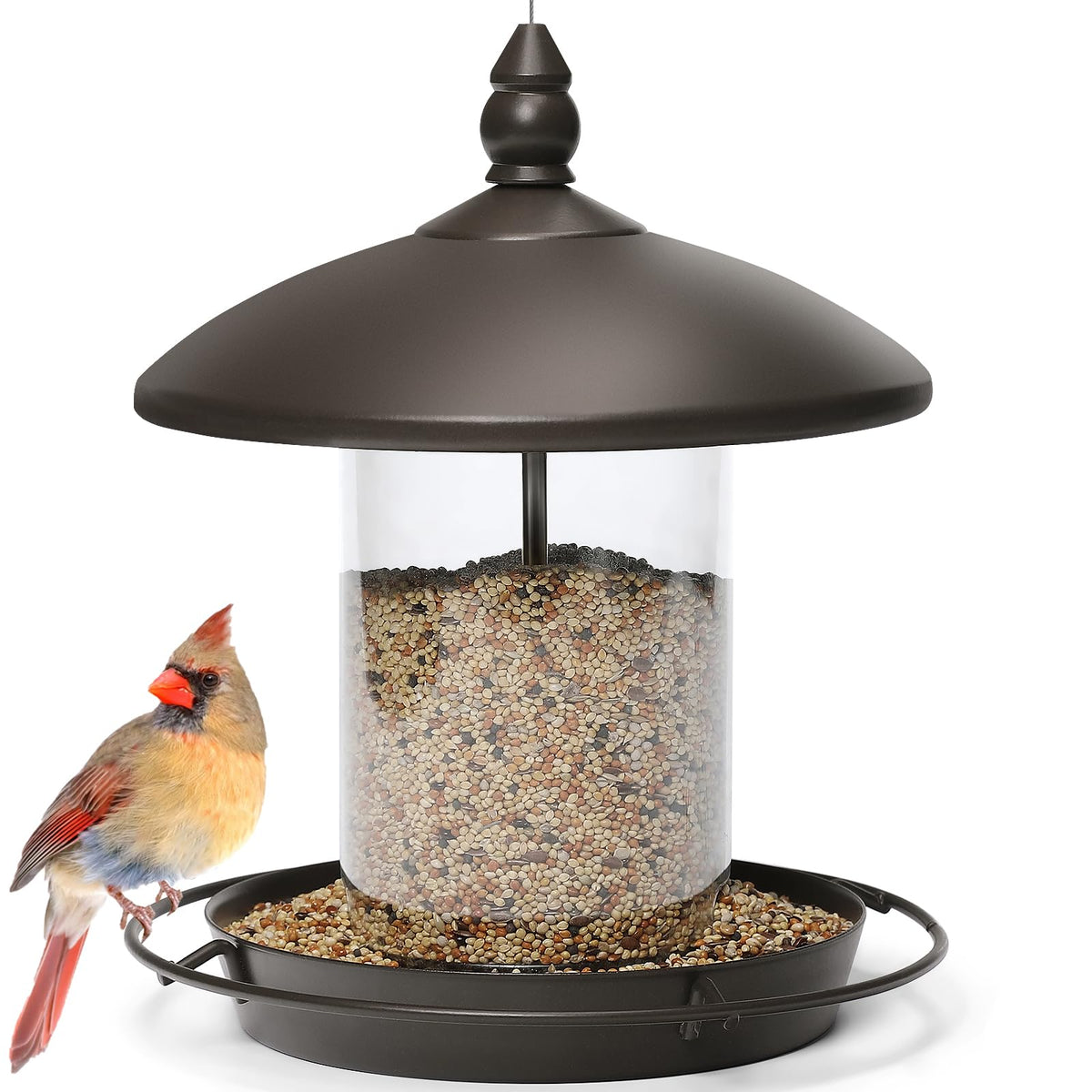 Youvip Metal Roof Bird Feeder with chew-proof exterior protects seeds outdoors.