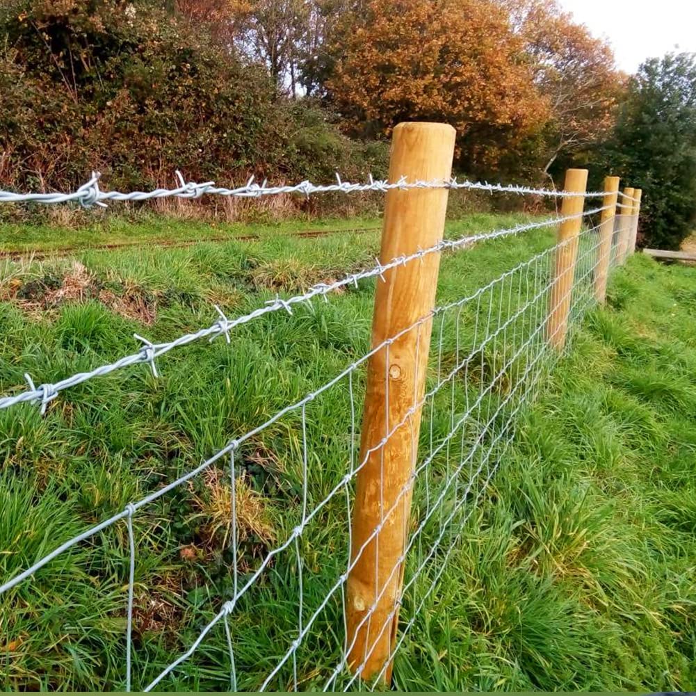 Yowlieu ideal for bird feeder protection and garden boundary solutions.