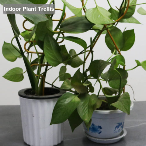 Yowlieu compact iron trellis with gold finish resists rust indoors