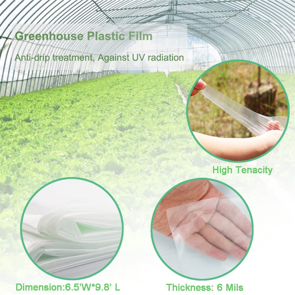 Yowlieu diffused-light greenhouse film ensures even daylight for healthy plant growth.
