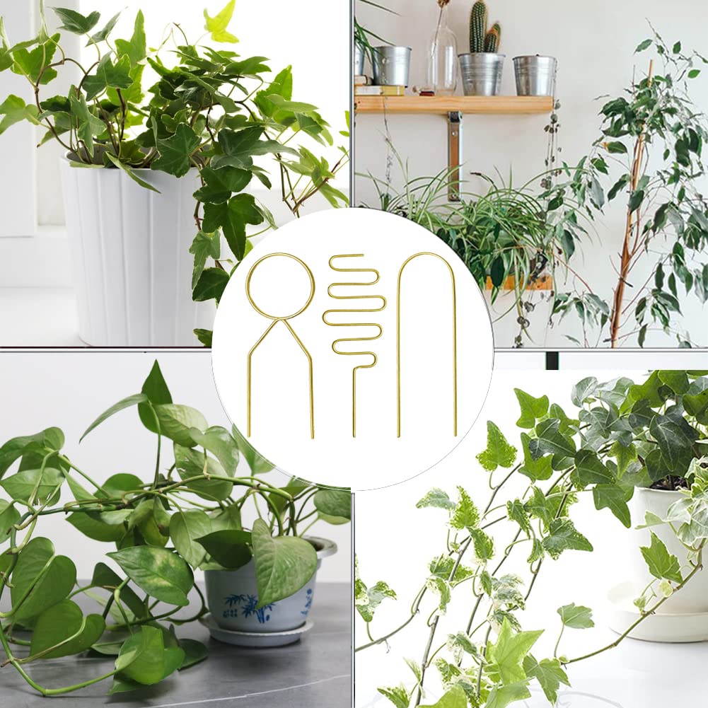 Yowlieu indoor garden gold trellis decor elevates space
