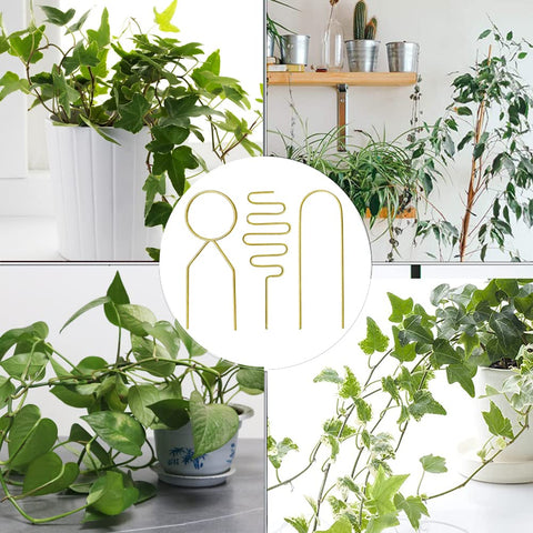 Yowlieu indoor garden gold trellis decor elevates space