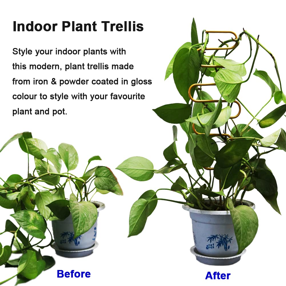 Yowlieu pothos trellis stake keeps trailing vines organized