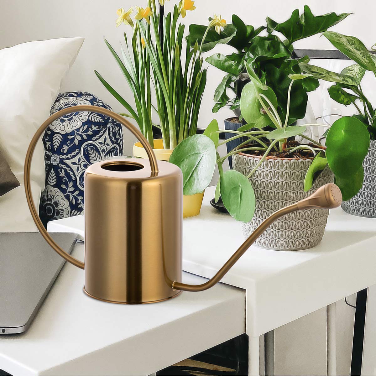 Yowonmetal removable spray spout offers a gentle watering option.