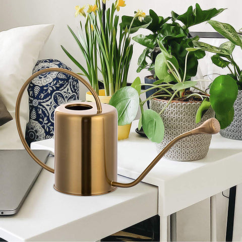 Yowonmetal removable spray spout offers a gentle watering option.