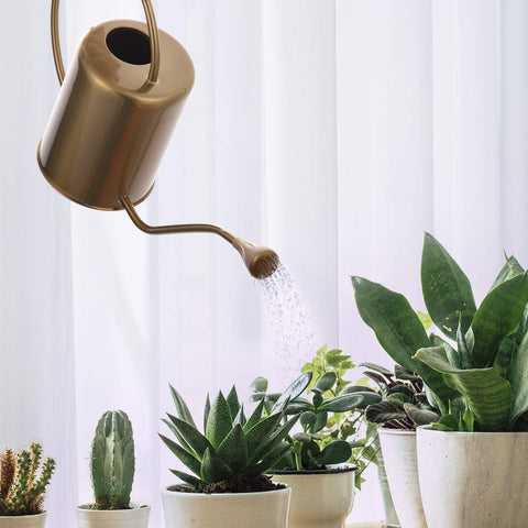Yowonmetal perfect for succulents and small houseplants.