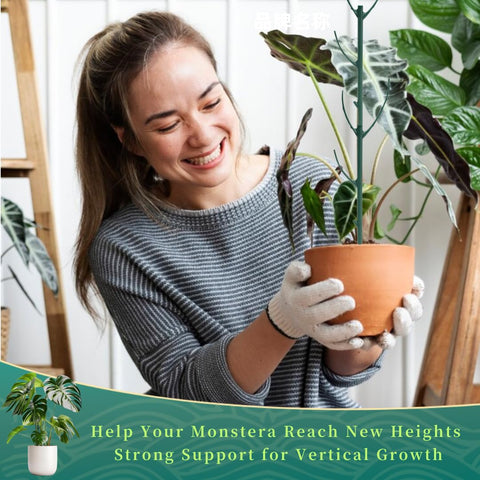 YOYOKIT ideal for indoor and outdoor use with Monstera, ferns, and orchids