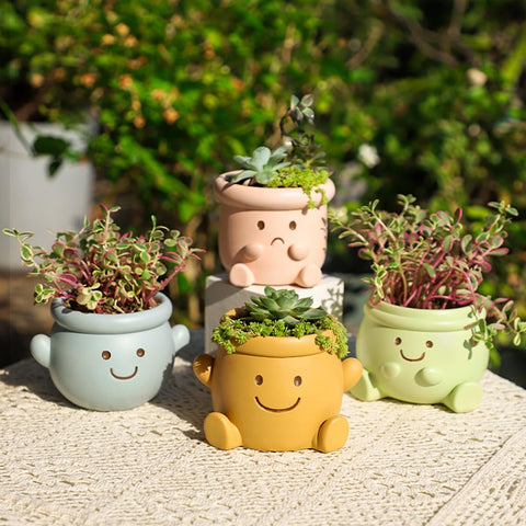 YOYLMAL compact desktop planter fits on a desk or windowsill