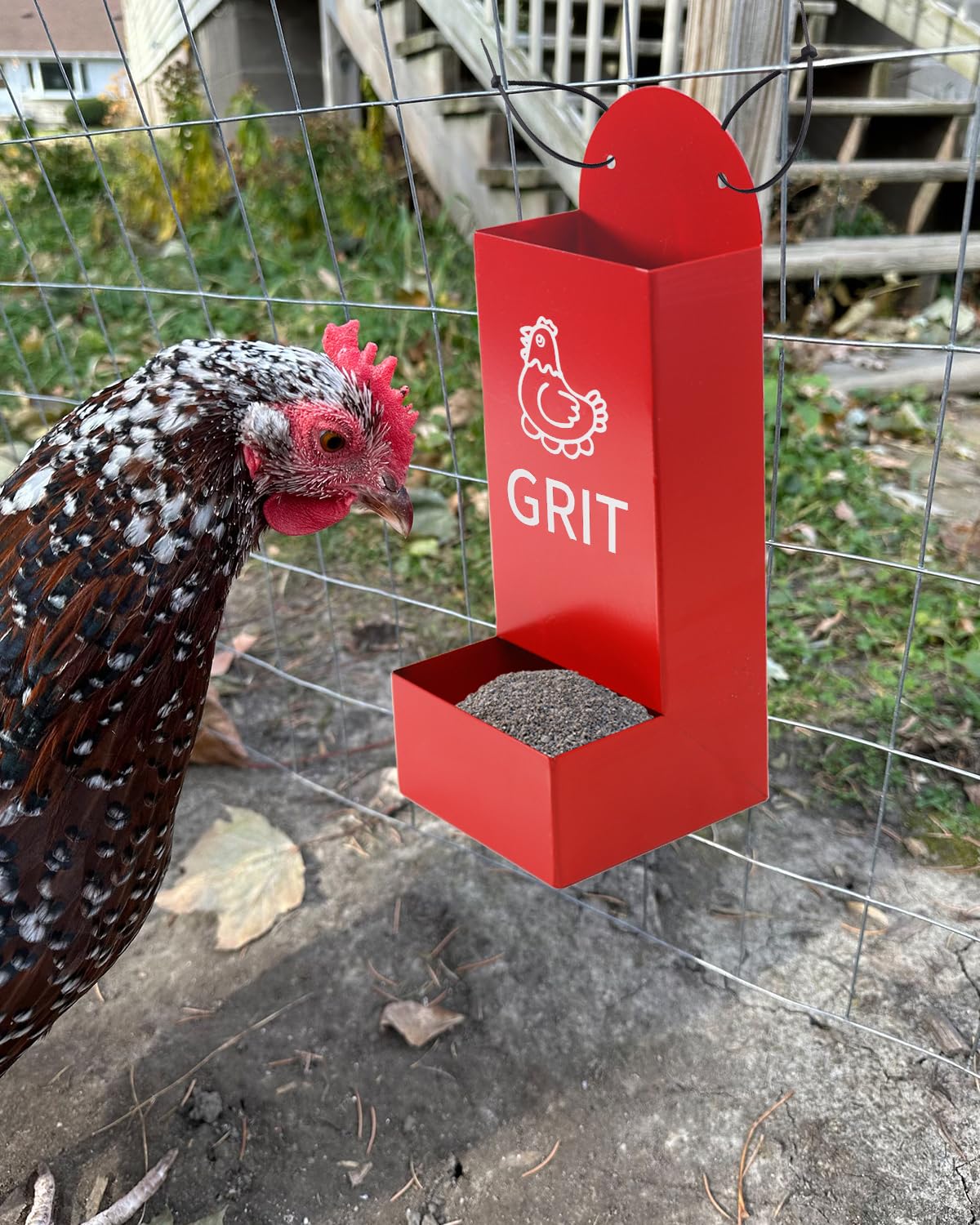 YQDHYLYH automatic feeder mounted for hands-free flock feeding
