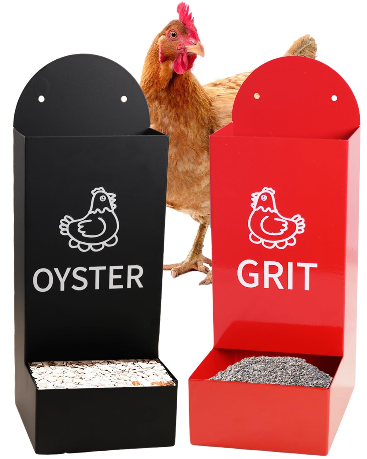 YQDHYLYH oyster-shell feeder close-up showing convenient feeding for six chickens
