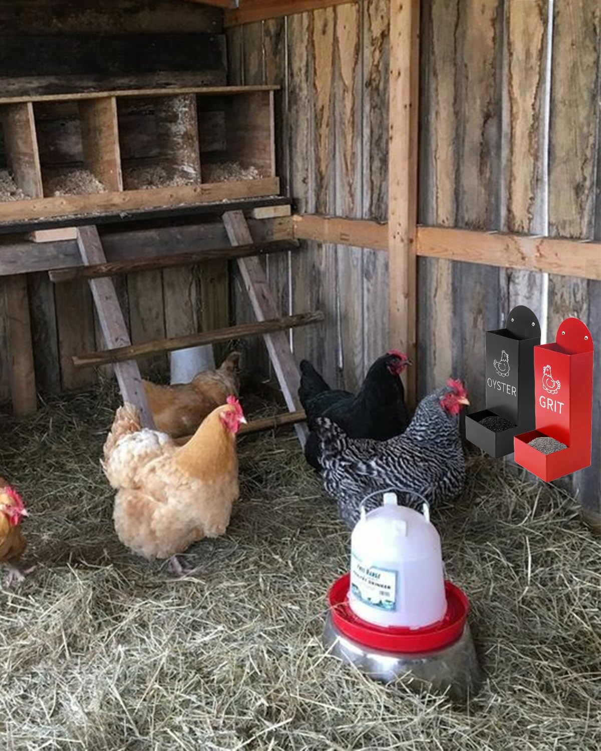 YQDHYLYH oyster shell and grit combo supporting healthier feeding routine