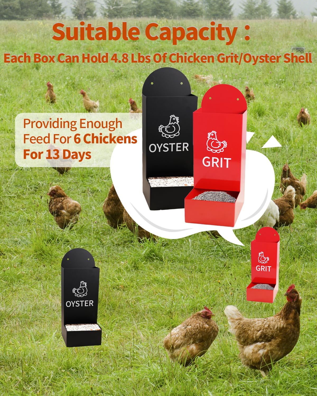 YQDHYLYH stationary feeder setup shown for fixed coop placement