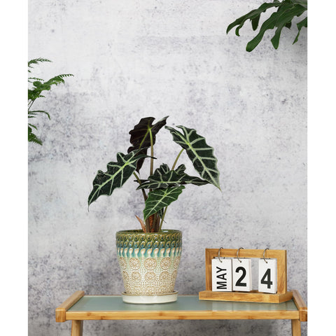 YQSLYSF 5-inch planter side view with smooth glaze.