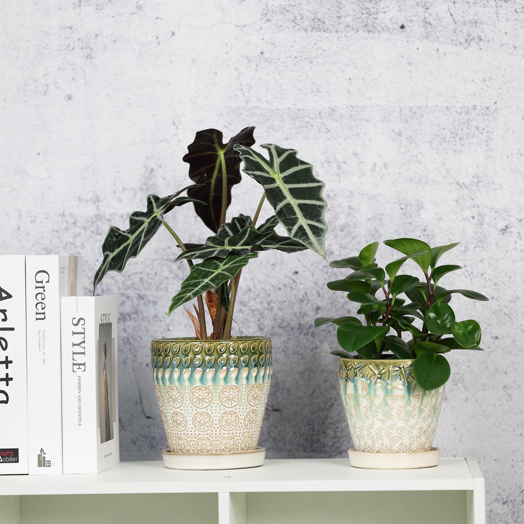 YQSLYSF set of 2 pots on a shelf for indoor display.