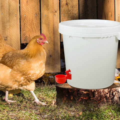 Yrangee waterer cups minimize spills while delivering steady hydration.