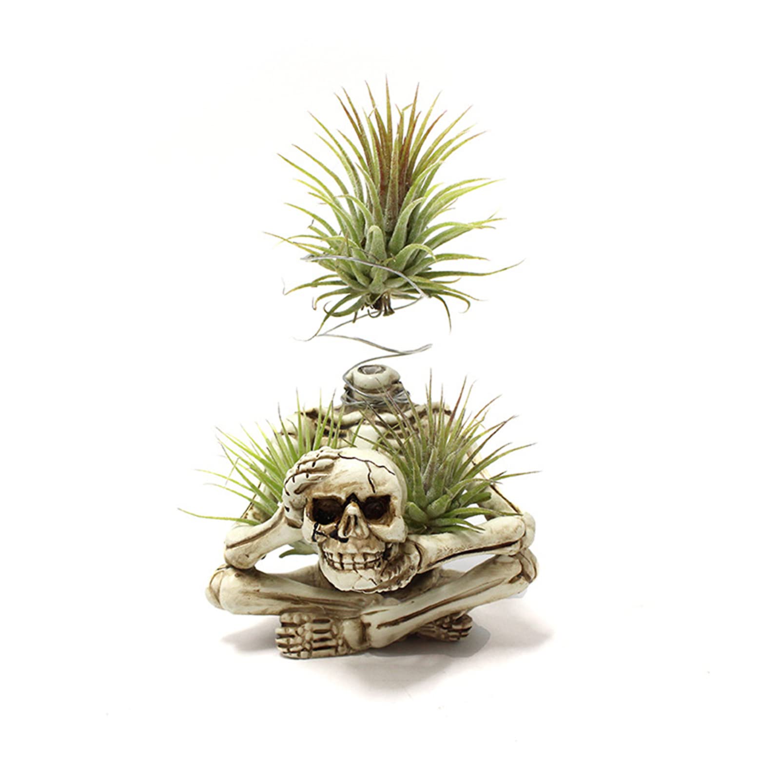 YRDGRG air plant holder fits compact spaces like a windowsill vignette.