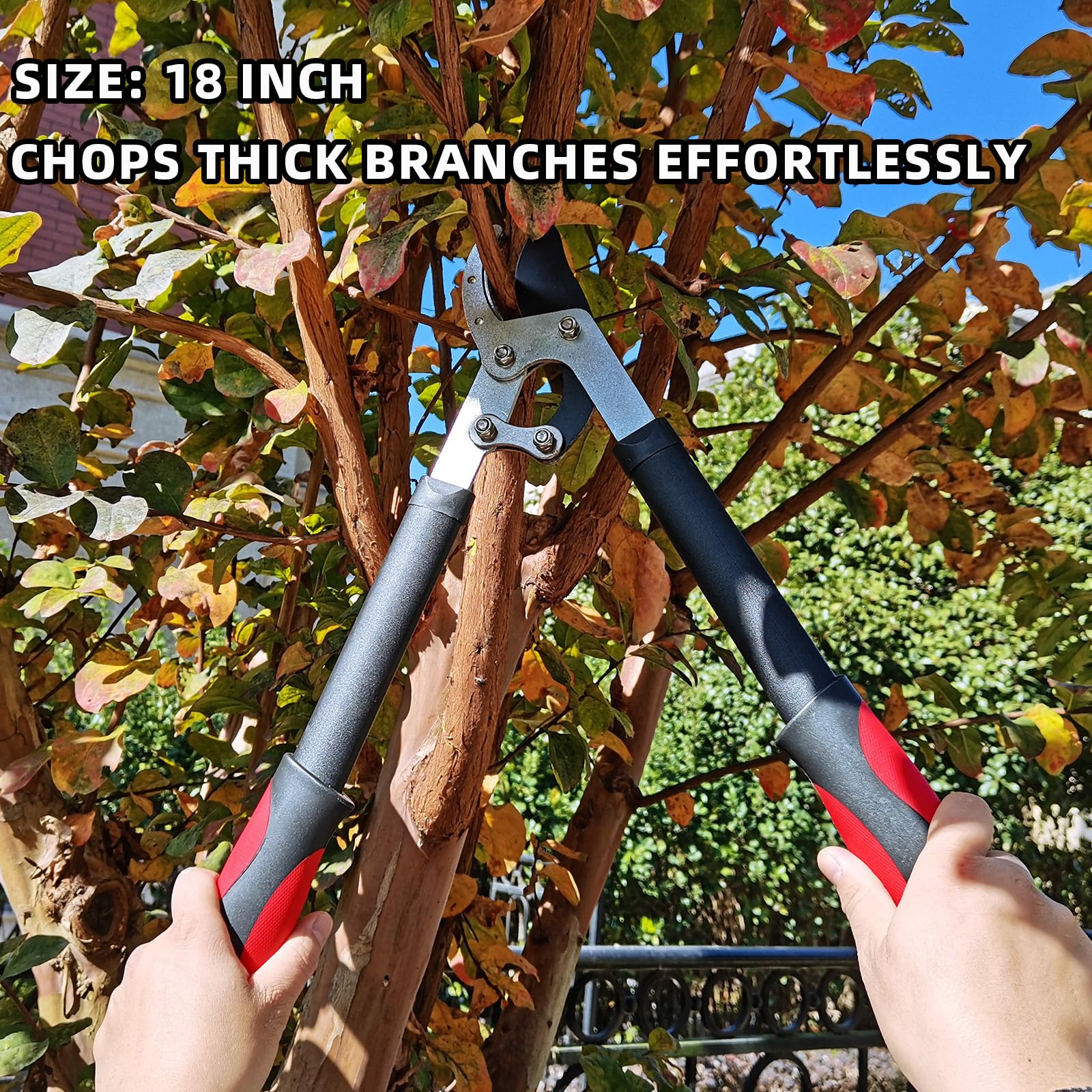 YRTSH Lopper long handle provides reach and leverage.