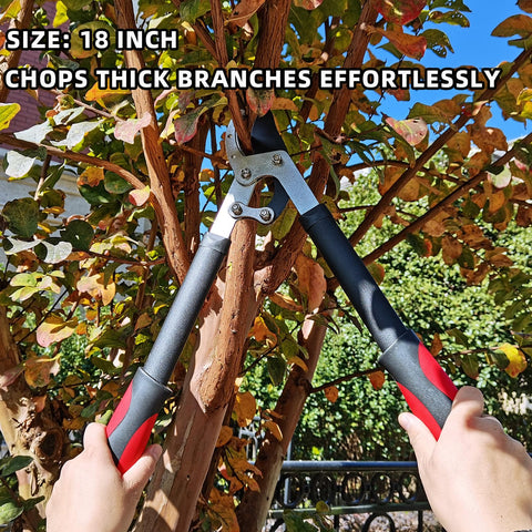 YRTSH Lopper long handle provides reach and leverage.