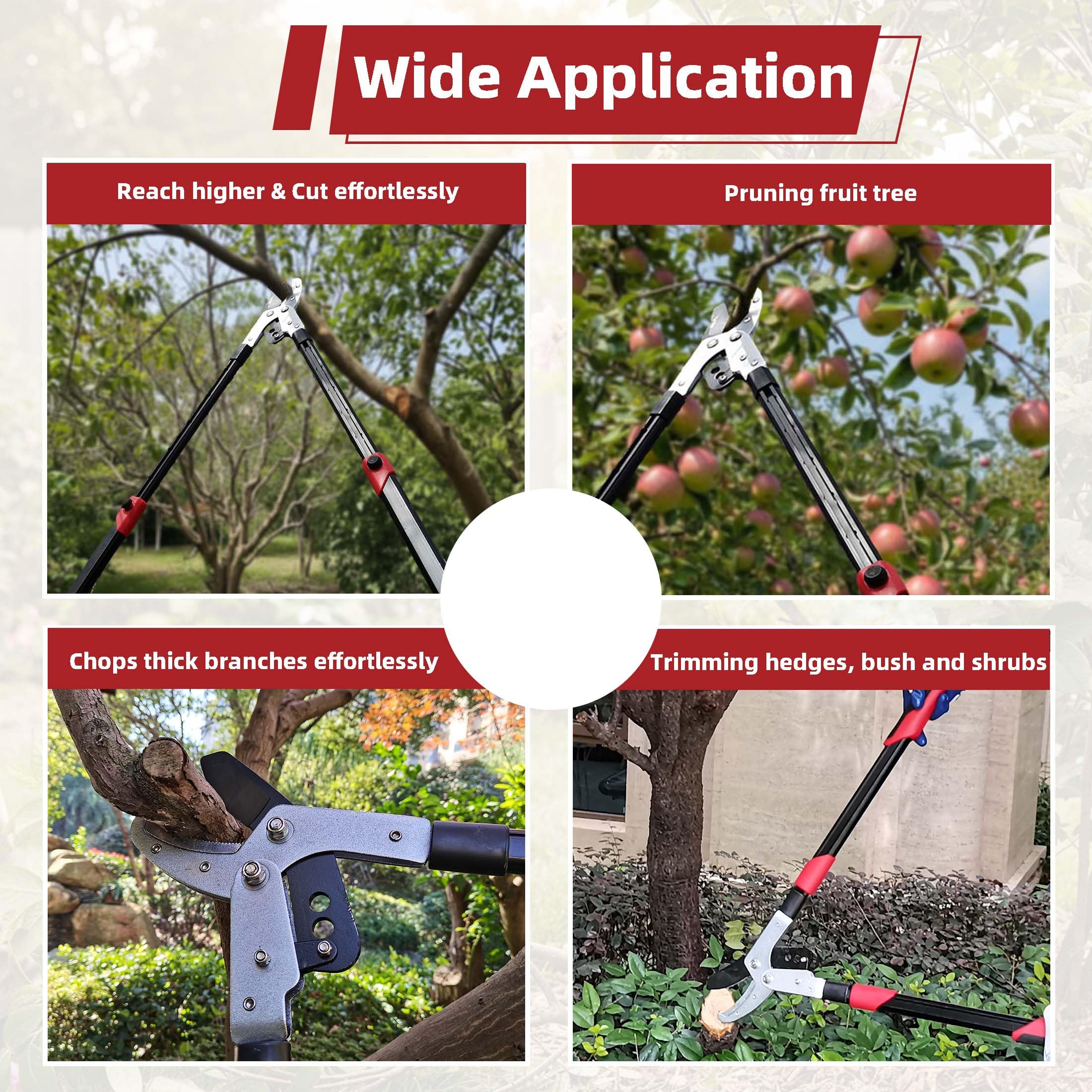 YRTSH loppers high-branch pruning from ground level