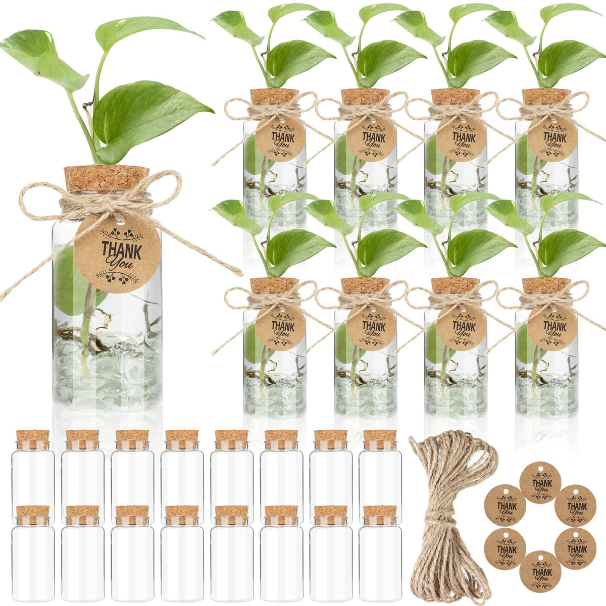 Ysglory propagation jar with hole lid for easy water access and root monitoring.