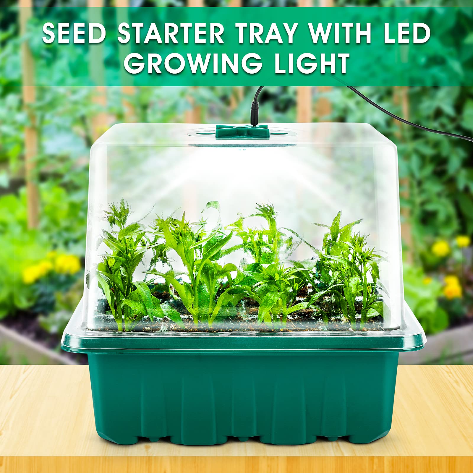Yskea compact germination tray fits tight spaces while supporting healthy sprouts.