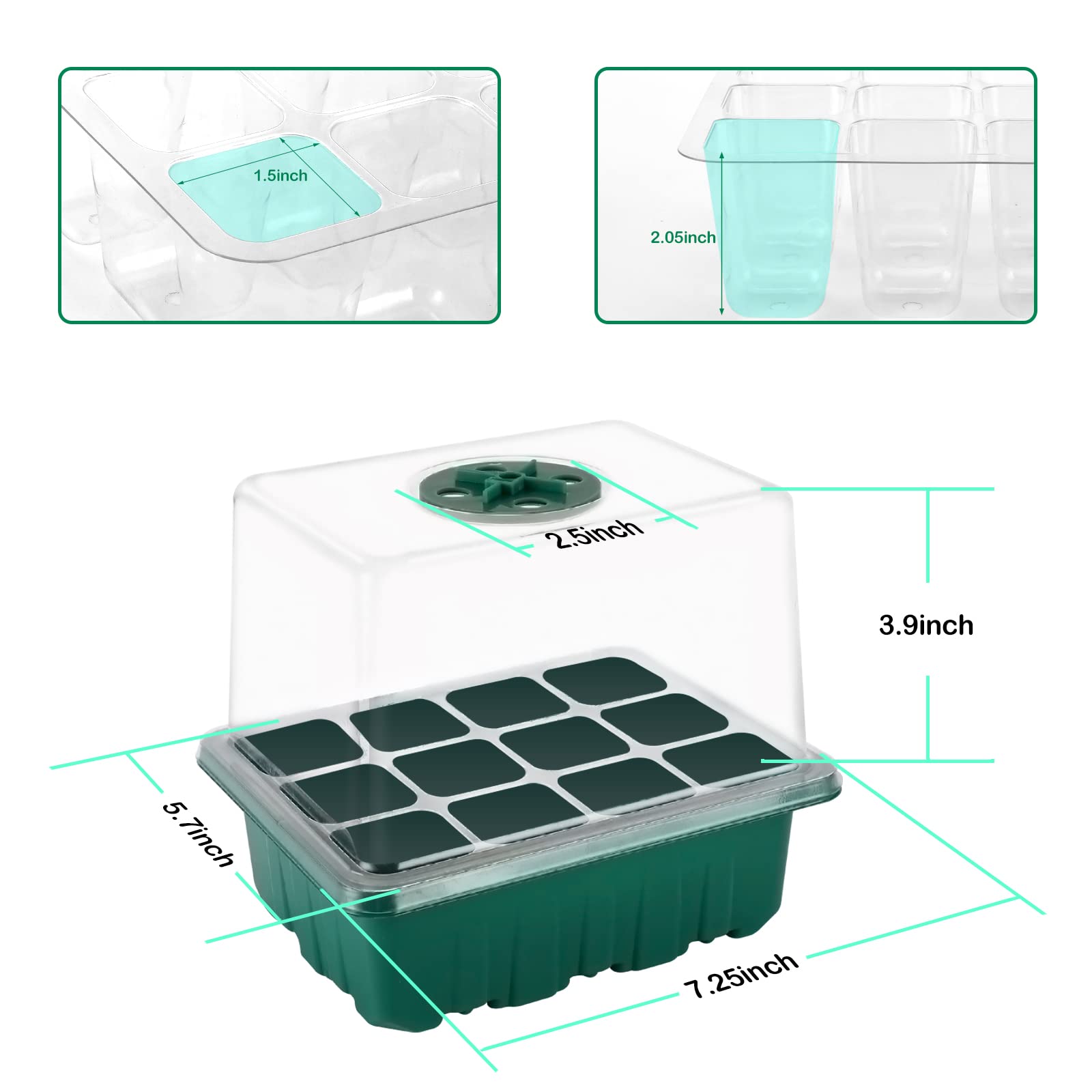 Yskea indoor gardening starter kit simplifies seed-to-sapling setup at home.