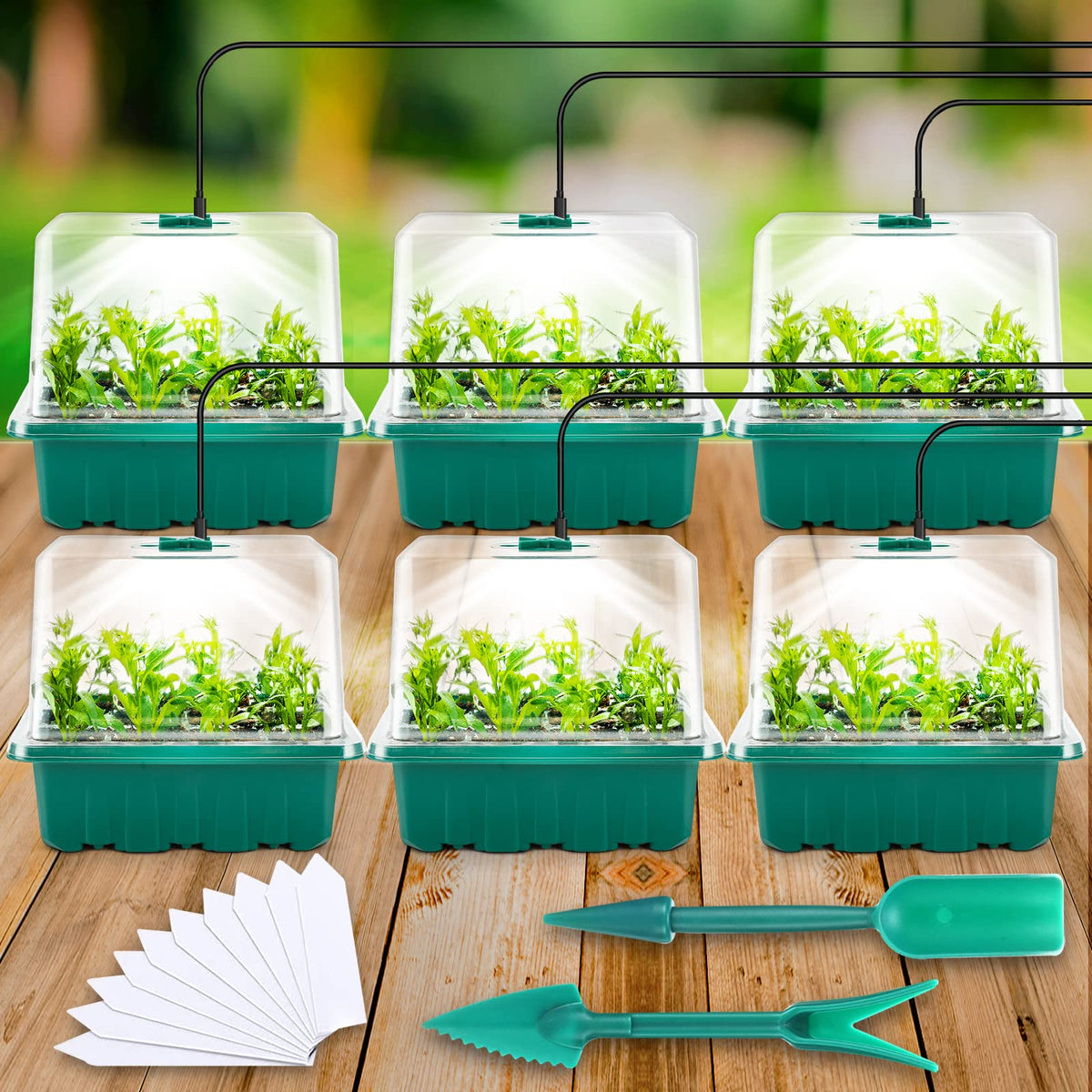 Yskea seed starter trays 6-pack for organized indoor germination and seedling care.