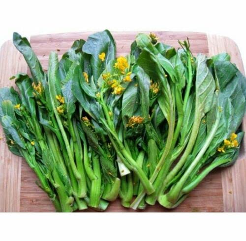 Yu Choy Sum 80-day variety ready for quick harvests in containers.