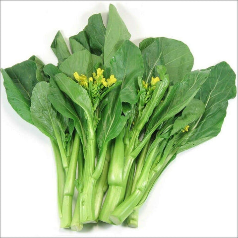 Yu Choy Sum seeds maturing into a full plant for home garden harvests.