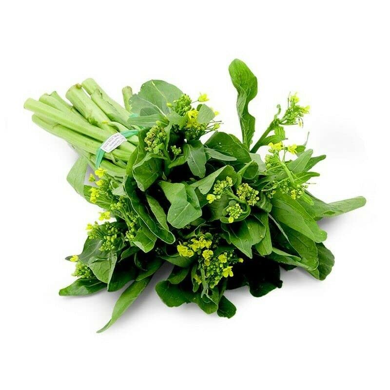 Yu Choy Sum leaves closeup showing vibrant green foliage and tender stems.