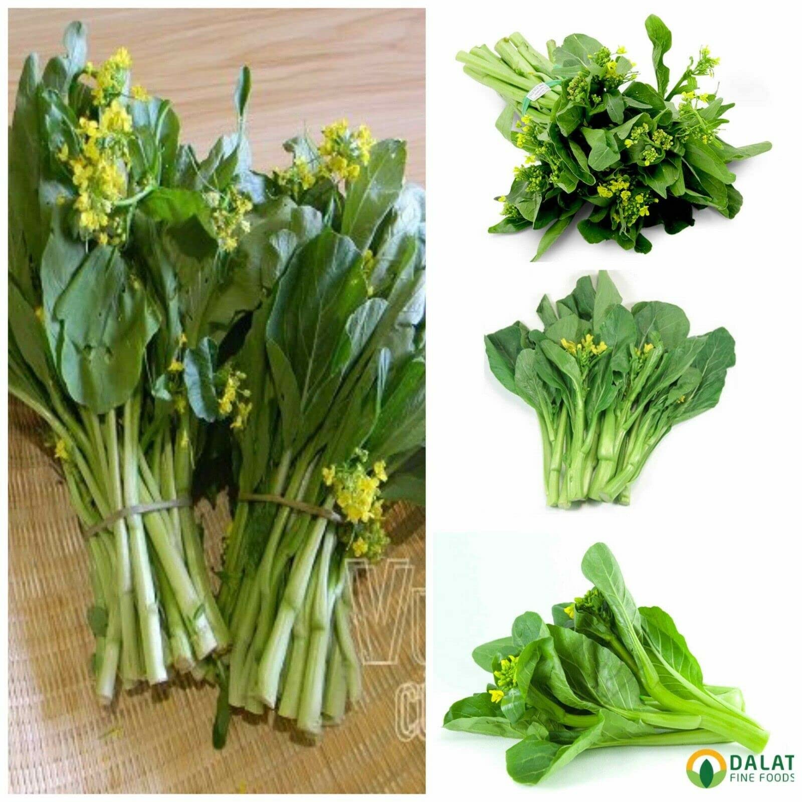 Yu Choy Sum stems and leaves showcased for fresh home cooking.