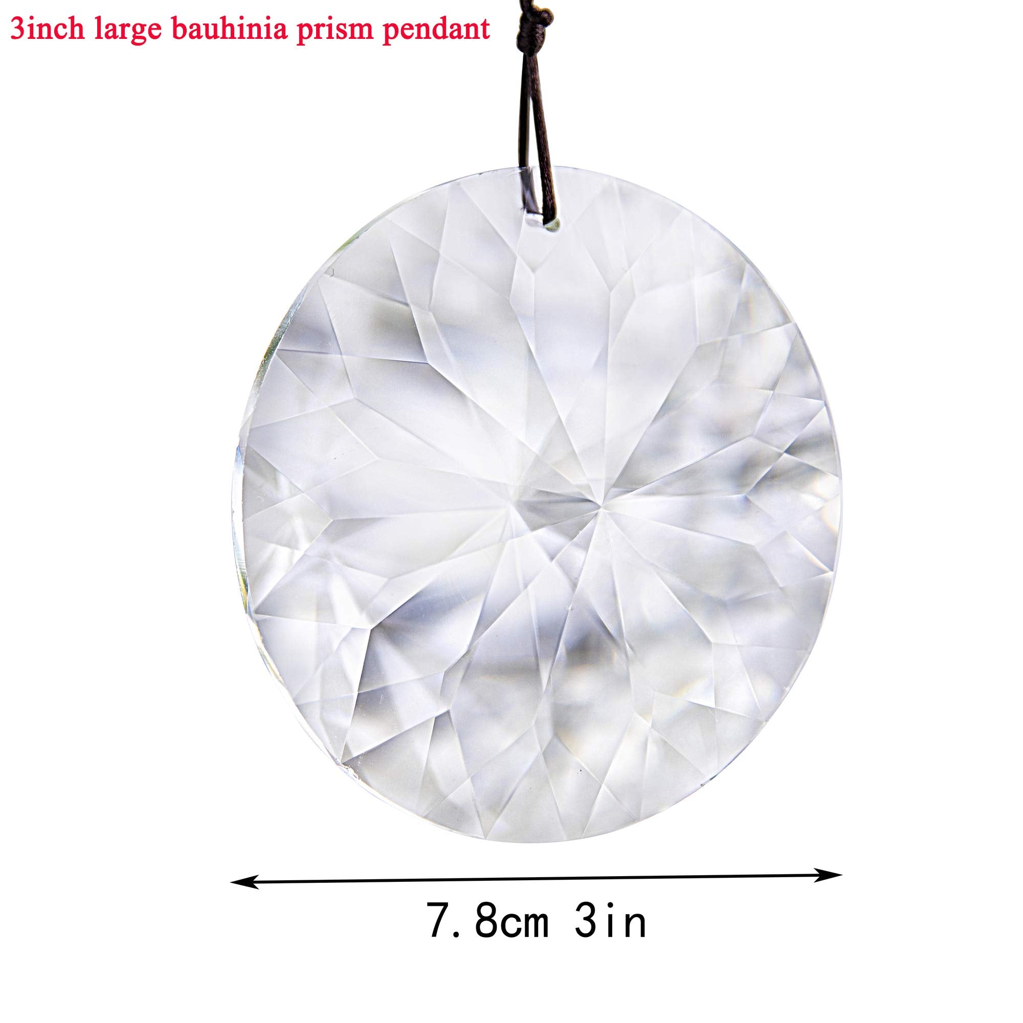 YU FENG Bauhinia window suncatcher reflecting rainbow colors in room light.