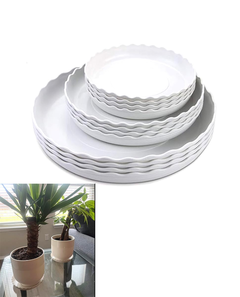 YUANAIYI Wave Plant Saucer 6inch close-up shows thick, durable edge