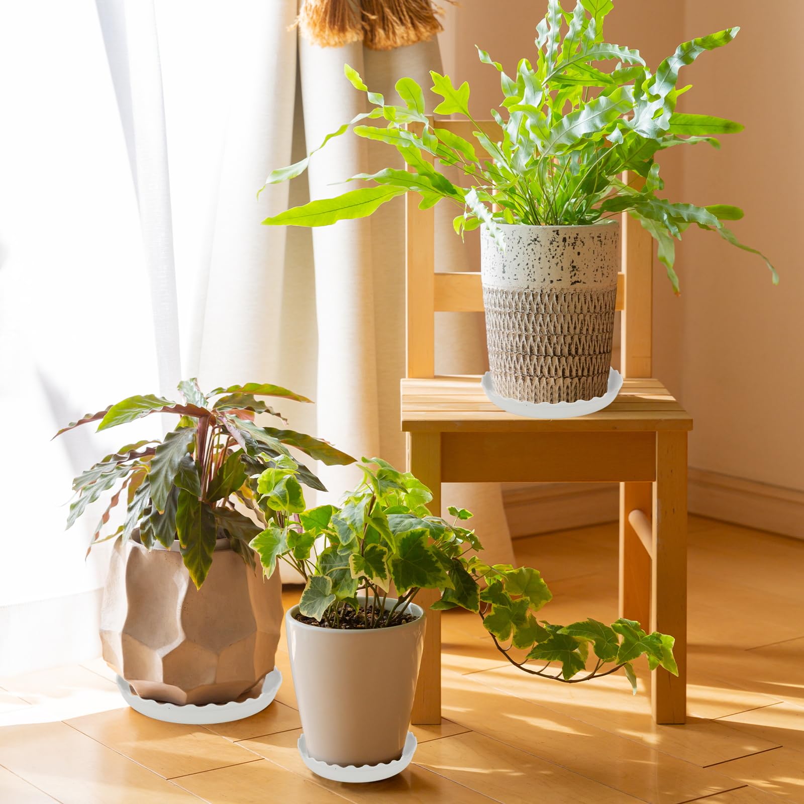 YUANAIYI Wave Plant Saucer 8inch four-pack display