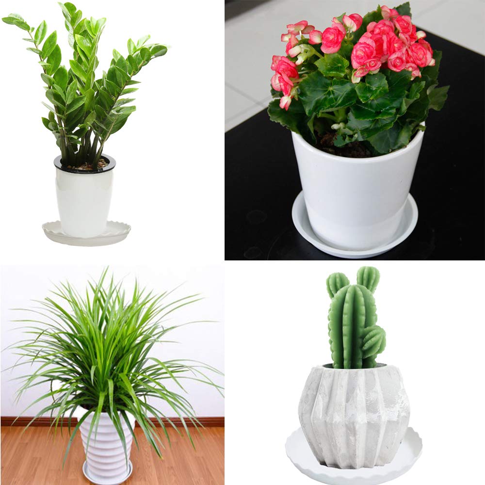 YUANAIYI Wave Plant Saucer decorative wave edge enhances display
