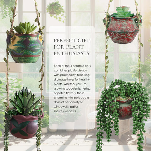 Planters holding succulents and herbs with easy drainage