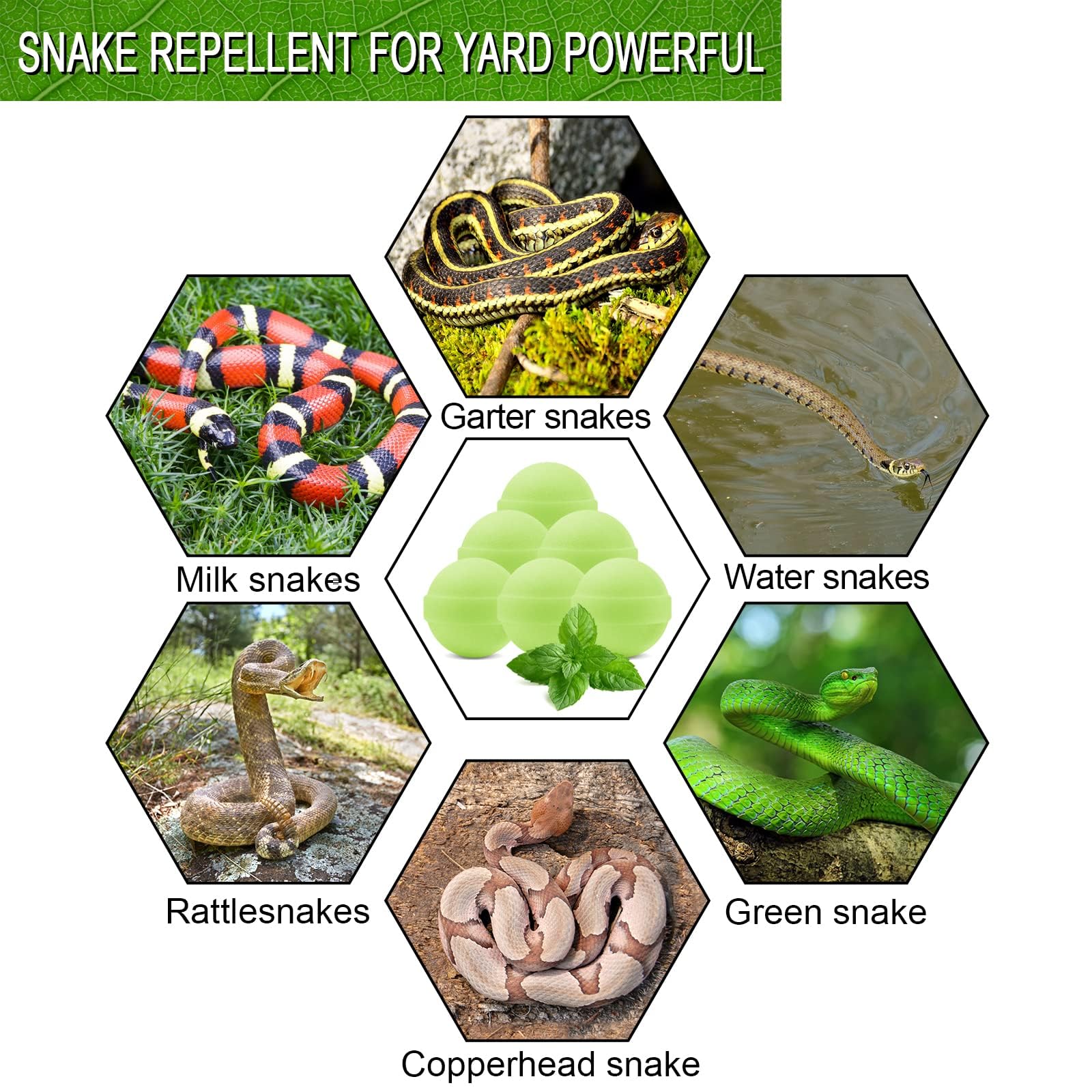 YUEQINGLONG Snake Be Gone pill packaging highlights easy, mess-free use.