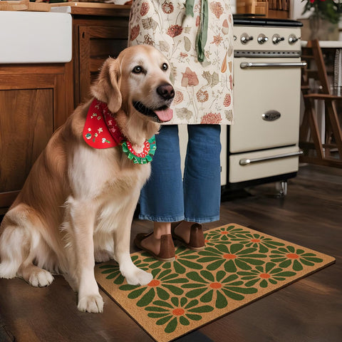 yueyaer boho door mat placed at front door enhances curb appeal and cleanliness.