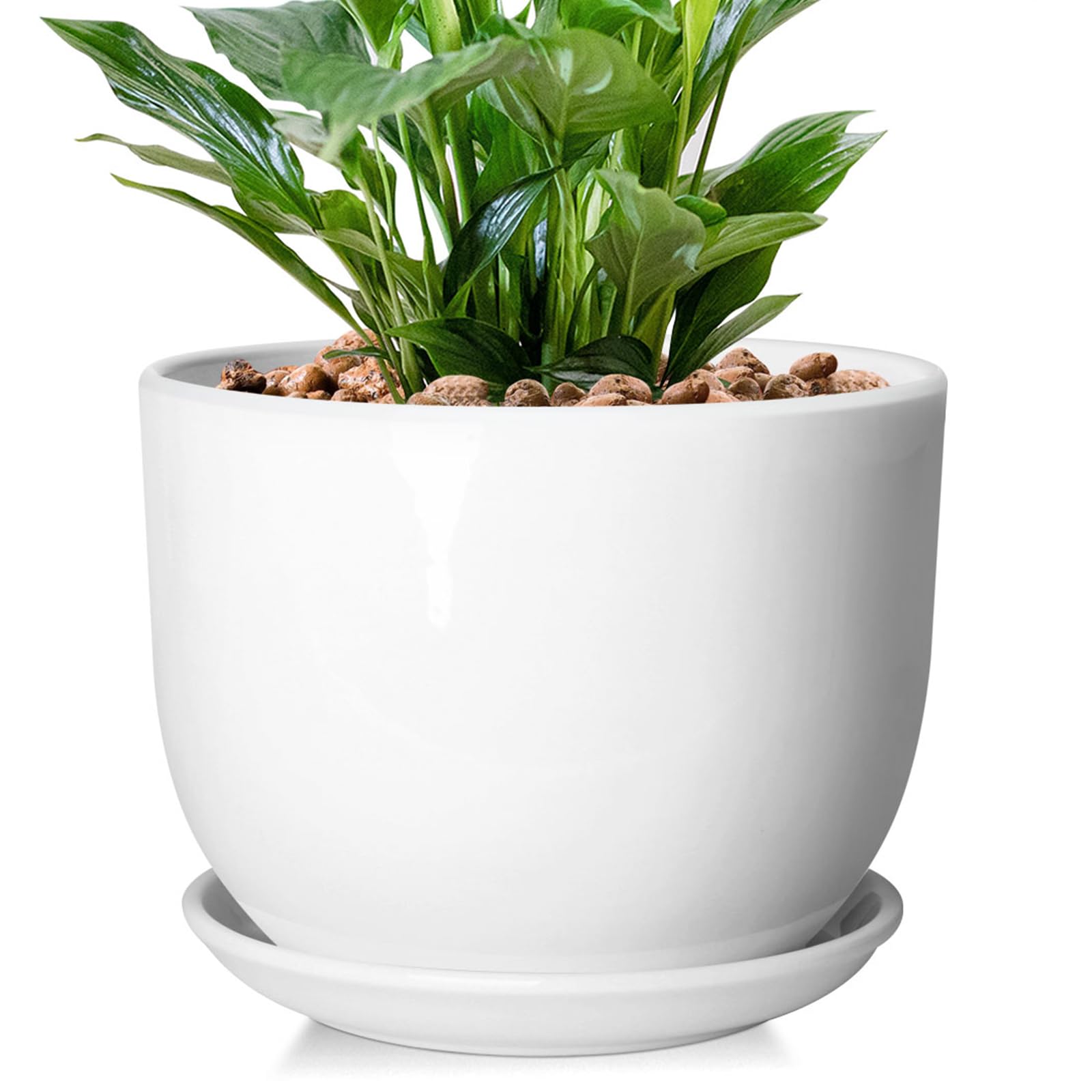 YUFDA 8-inch ceramic planter with glossy white finish for elegant indoor display.