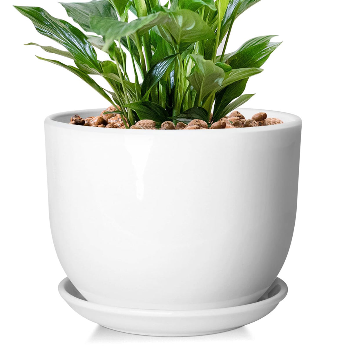 YUFDA 8-inch ceramic planter with glossy white finish for elegant indoor display.
