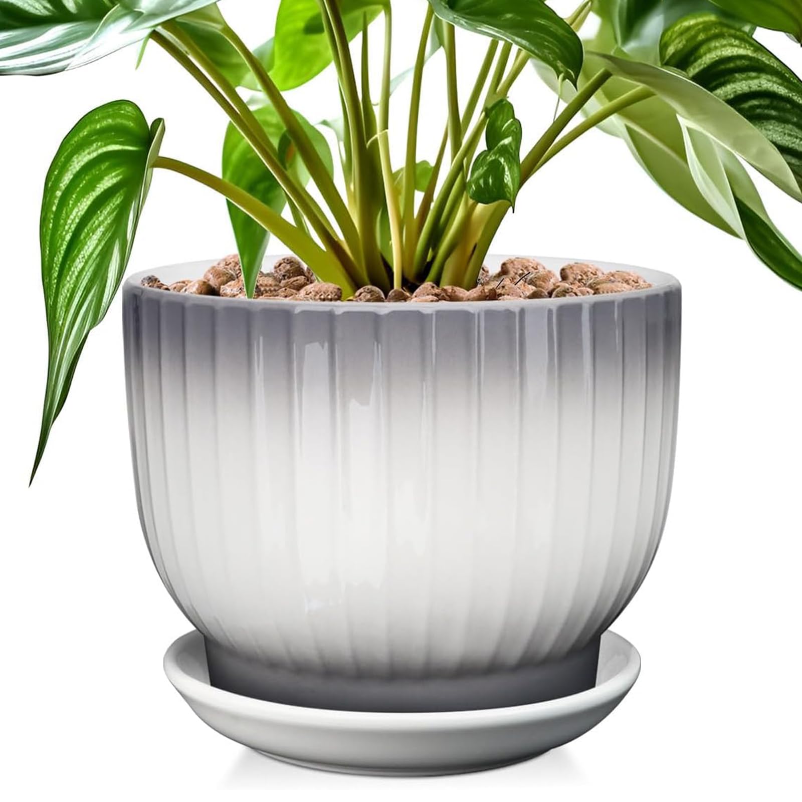 YUFDA 8-inch gradient glaze plant pot adds modern style and drainage.
