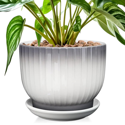 YUFDA 8-inch gradient glaze plant pot adds modern style and drainage.