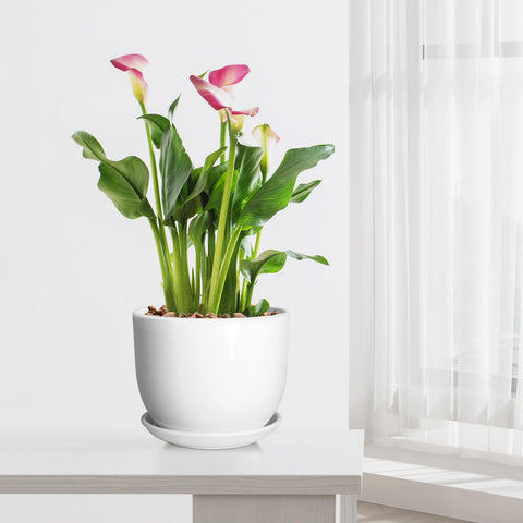 YUFDA easy-clean surface keeps the planter bright with a damp cloth.