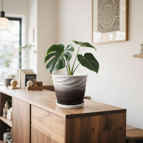 YUFDA plant pot shown with snake plant for modern decor.