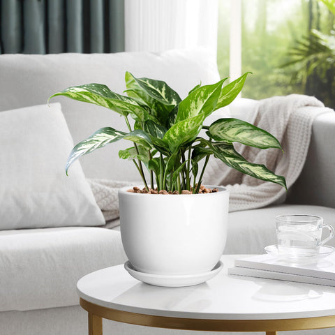 YUFDA stable base with separable saucer reduces tipping and mess.