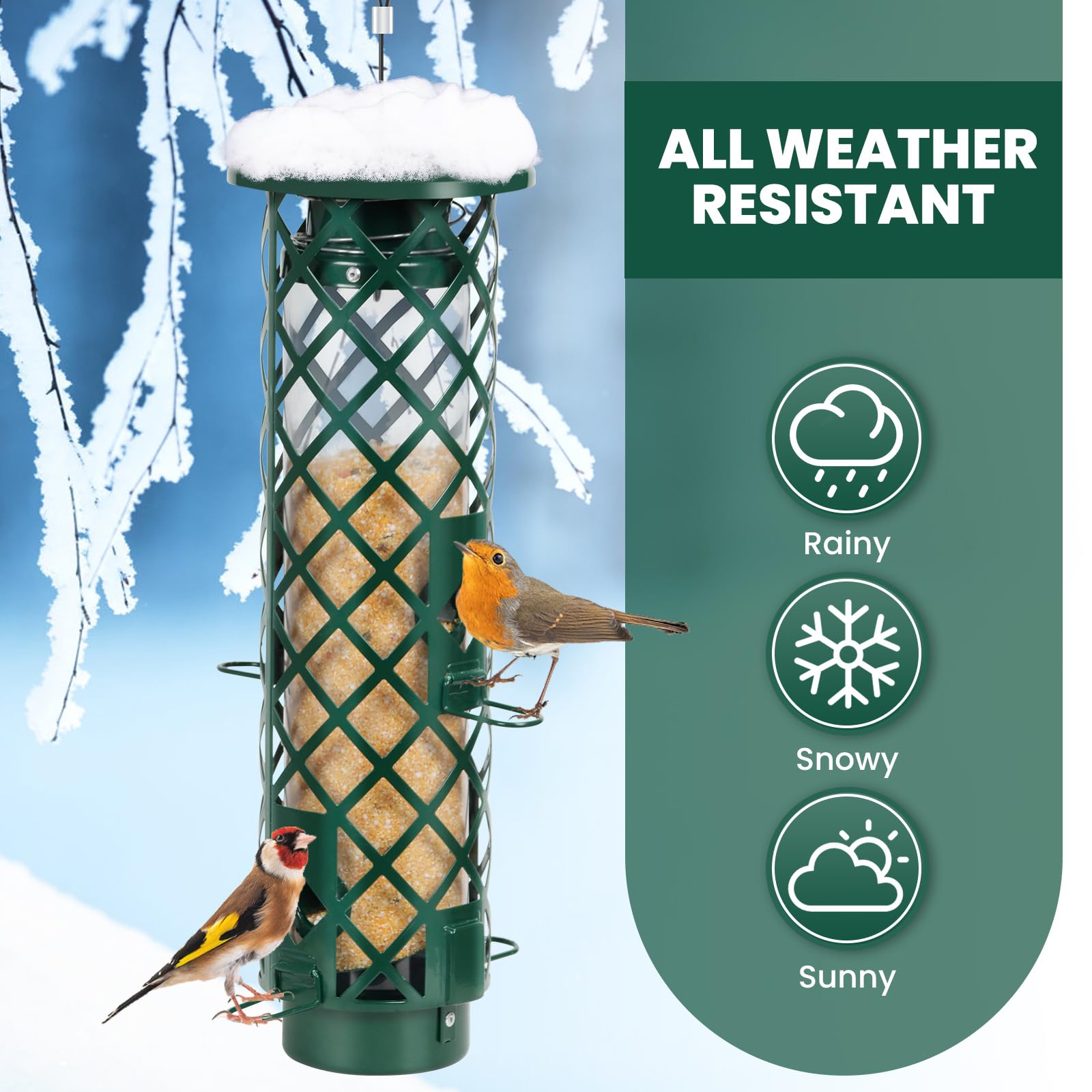 YUGYUM 3lb capacity reduces refills for busy bird lovers.