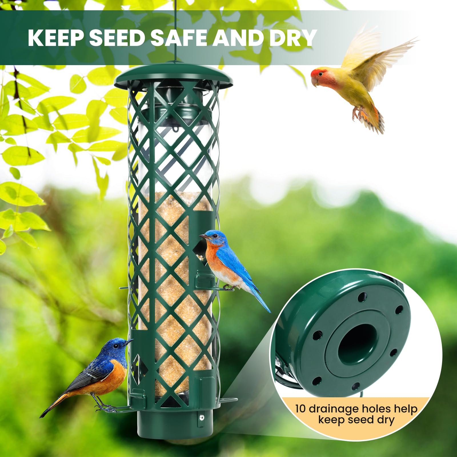 YUGYUM clear acrylic tube lets you see seed levels at a glance.